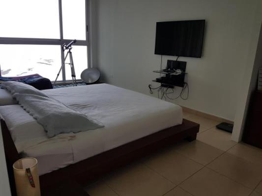 Oasis on the Bay, apartment