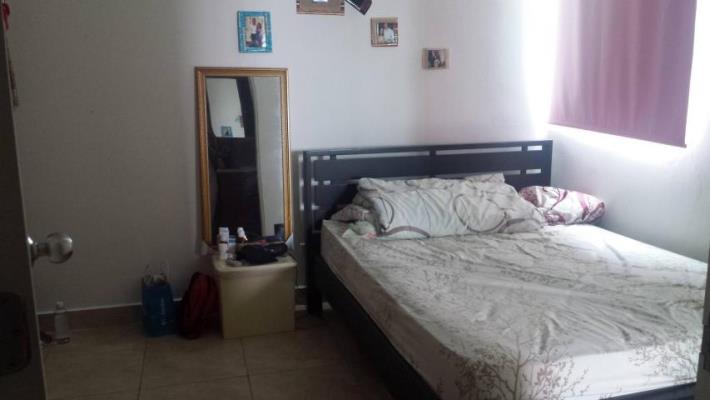 GREEN PARK, apartamento