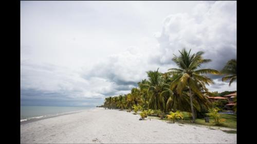 Buenaventura, Antón