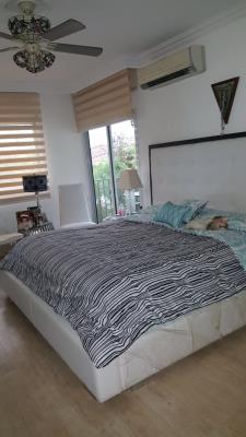 Palmeras del Este , Costa del Este