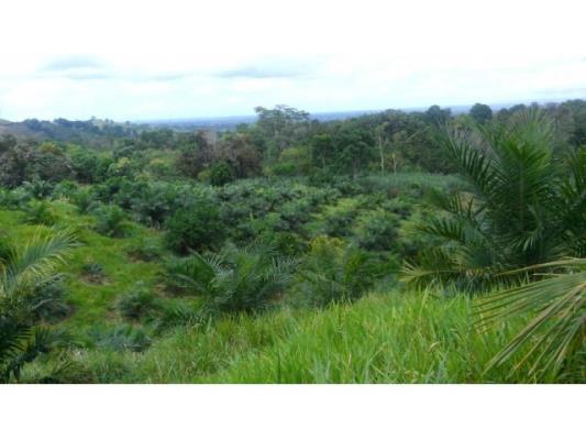 , Aserrio de Gariche