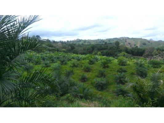 , Aserrio de Gariche