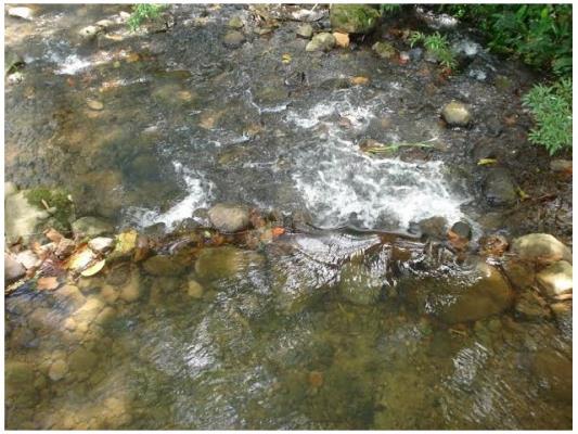 , Aserrio de Gariche