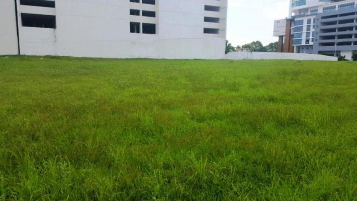 , Lot / Land for sell in Juan Diaz | P332878