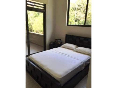 Nativa, Panamá Pacífico