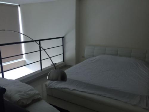 Vitro Loft, Área Metropolitana