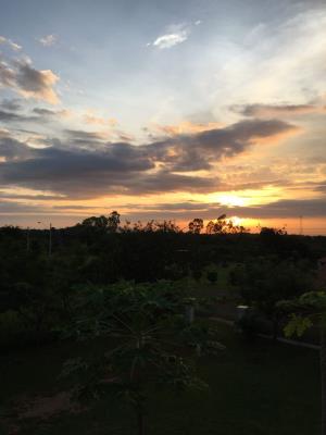 , Terreno en venta en Las Uvas | P360444