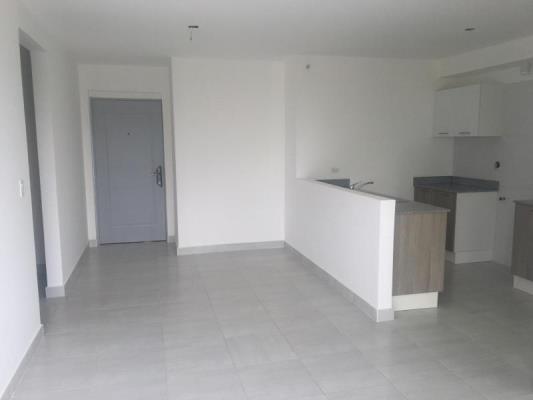 Metropolitan Park, Área Metropolitana