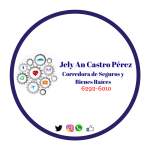 jcastrobienesraicesyseguros