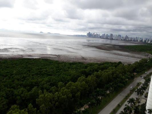 , Área Metropolitana