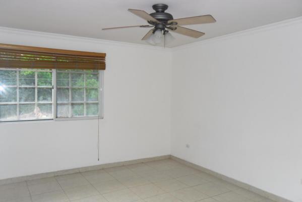 , Amelia Denis De Icaza