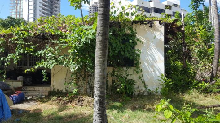 , Área Metropolitana