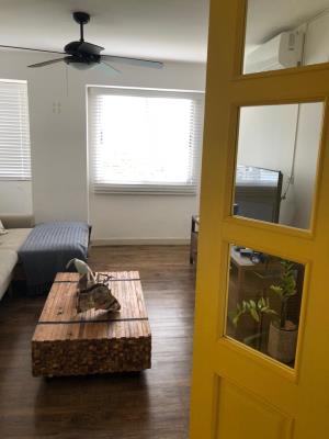 Perla del Pacifico, Área Metropolitana