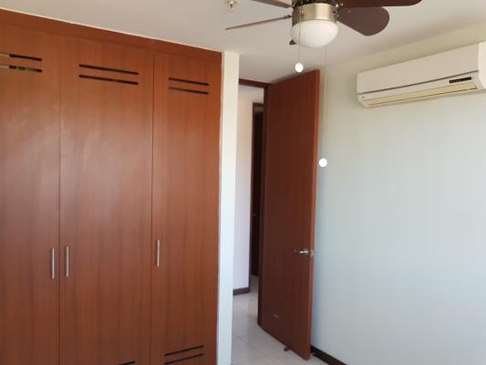 , Amelia Denis De Icaza