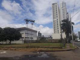 Calidonia Panamá