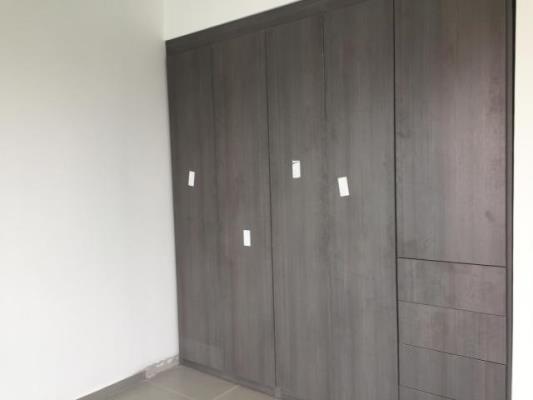 , Área Metropolitana