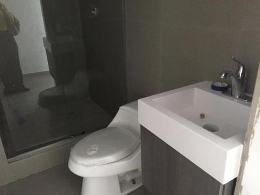 , Área Metropolitana