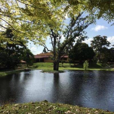 , Terreno en alquiler en Pacora | P1568252