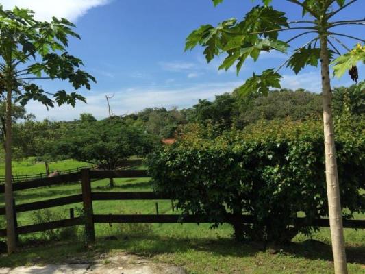 , Terreno en alquiler en Pacora | P1568252