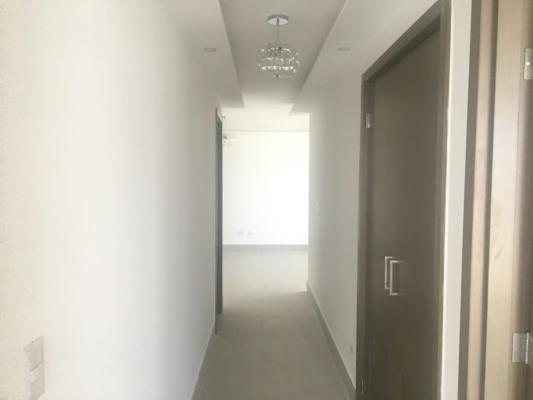 , Área Metropolitana