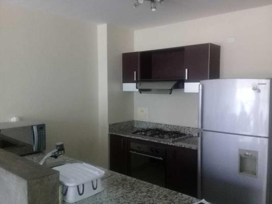 , Área Metropolitana