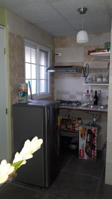 , Amelia Denis De Icaza