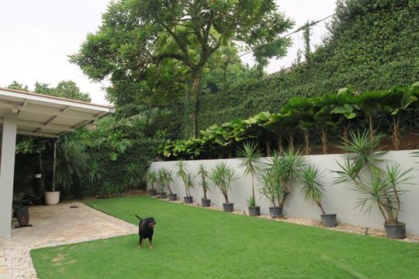 , Casa en alquiler en Pueblo Nuevo | P1629292