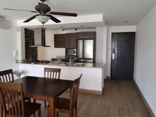 Argentina Tower, Área Metropolitana