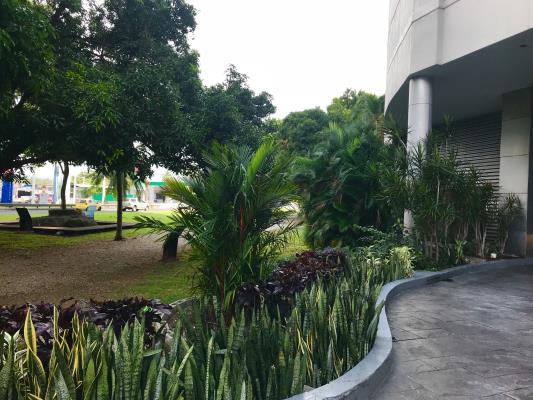 Nautica Tower, Área Metropolitana