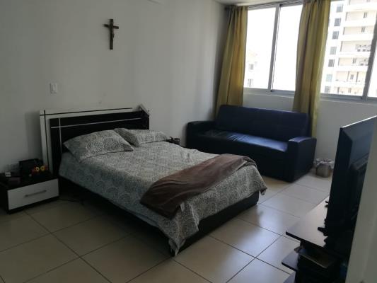 Oasis on the Bay, Área Metropolitana