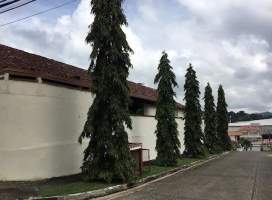 Betania Panamá