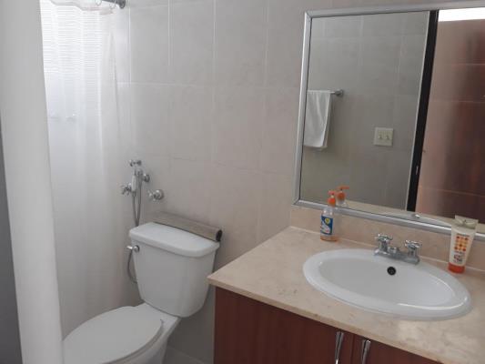 , Área Metropolitana