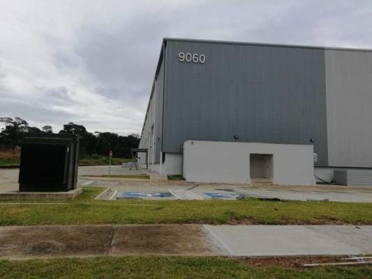 , Terreno en alquiler en Panamá Pacífico | P1675653
