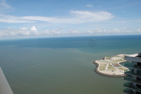 Trump Tower, Área Metropolitana