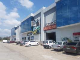 Amelia Denis De Icaza San Miguelito