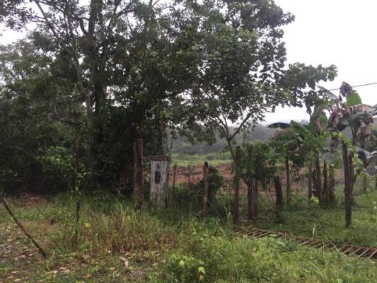 , Terreno en venta en Juan Diaz | P1695547