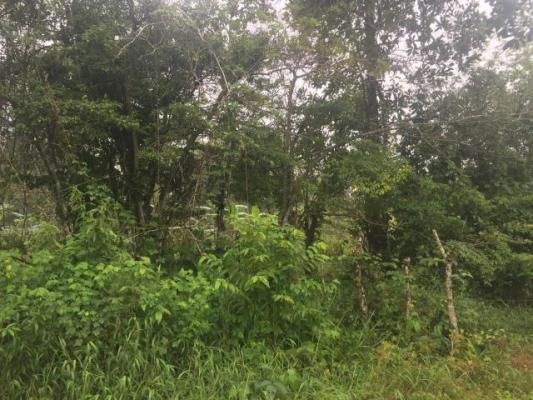 , Terreno en venta en Juan Diaz | P1695547