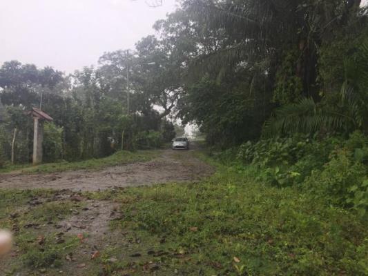 , Terreno en venta en Juan Diaz | P1695547