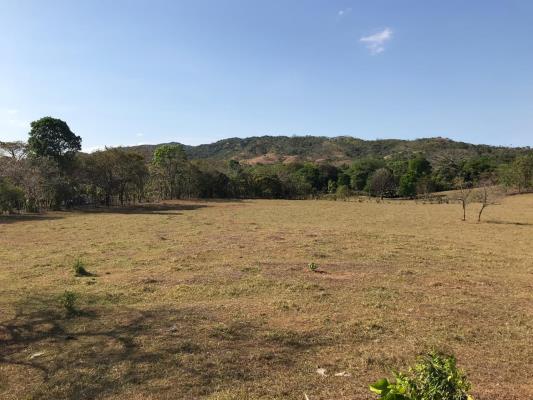 , Terreno en venta en Sona | P1695995