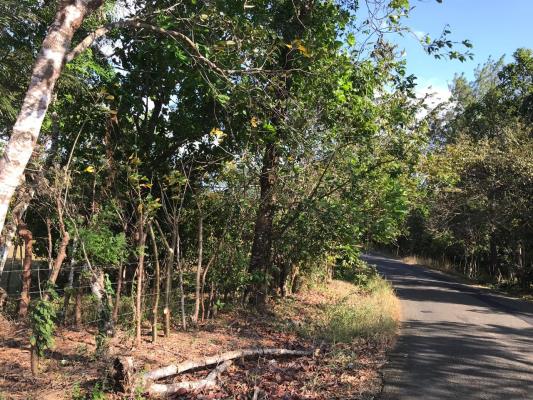 , Terreno en venta en Sona | P1695995