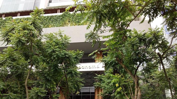 , Apartamento en alquiler en Avenida Balboa | P1700188