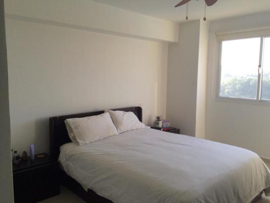 Altamira Gardens, Santa Clara