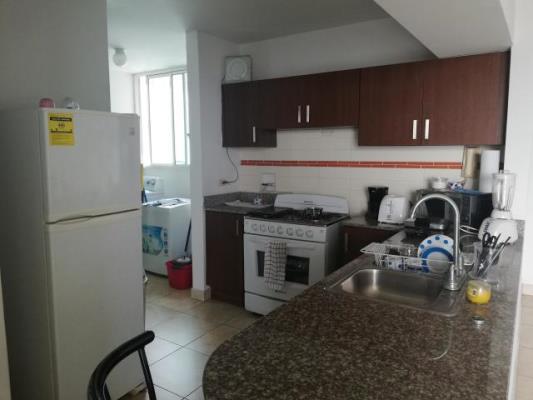 , Área Metropolitana