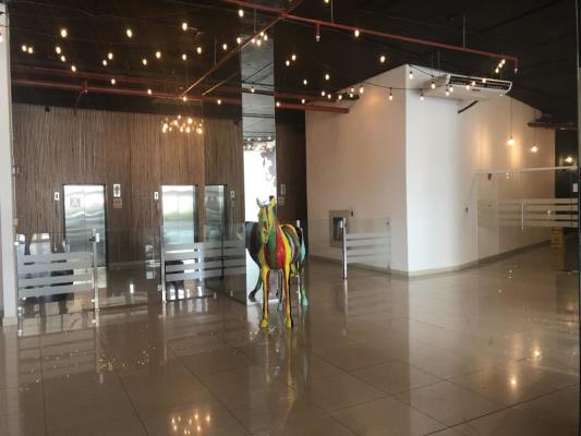 , Área Metropolitana