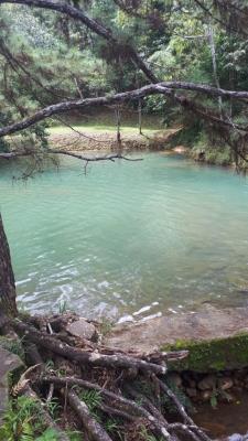 , Terreno en alquiler en 24 de diciembre | P1719536
