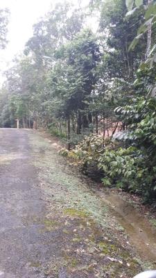 , Terreno en alquiler en 24 de diciembre | P1719536