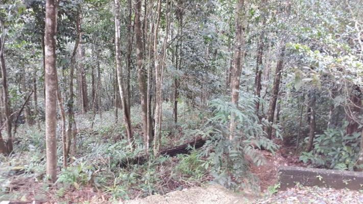 , Terreno en alquiler en 24 de diciembre | P1719536