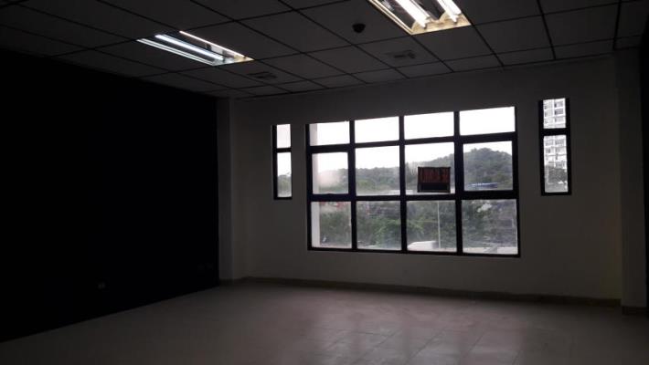 , Terreno en alquiler en Betania | P1722987