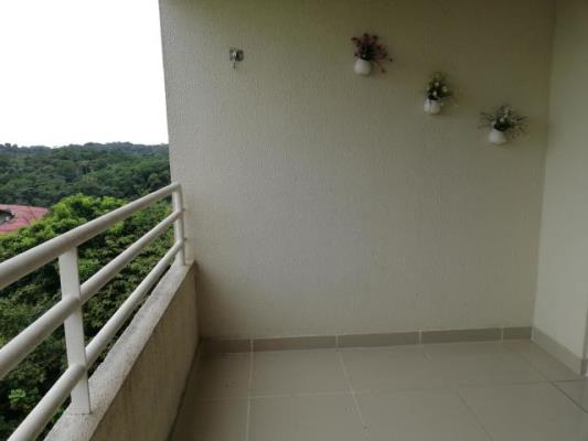 , Amelia Denis De Icaza