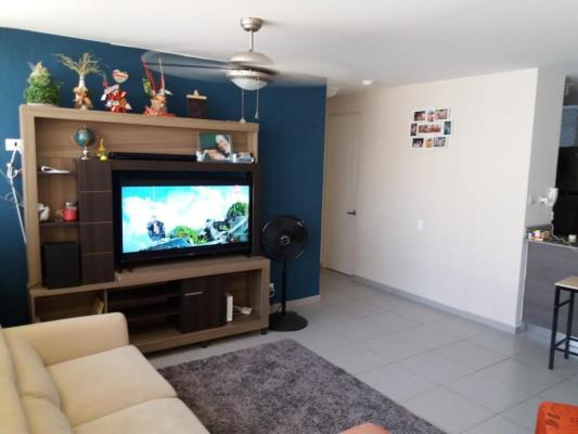 , Apartamento en alquiler en Betania | P1728447